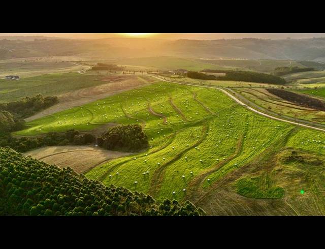 FARM FOR SALE IN MOUNT VERDE